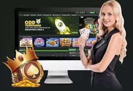 aliong 333 sports betting and live casino sections on mobile app